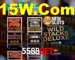 Experiência VIP 5588Bet